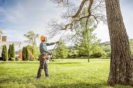 Best Lot and Land Clearing  in Alexandria Bay, NY